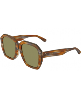 женские солнцезащитные очки CELINE  CL4045FN 5355N