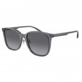 мужские солнцезащитные очки E.ARMANI  EARM 4206D 5029T3 57