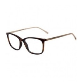 очки для зрения BULGET  BG 4034 T01