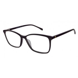 очки для зрения BULGET  BG 6206 H01