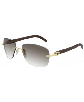 мужские солнцезащитные очки CARTIER  CART CT0014RS 001