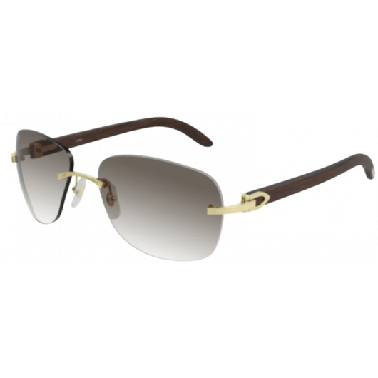 мужские солнцезащитные очки CARTIER  CART CT0014RS 001