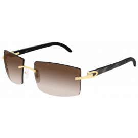 мужские солнцезащитные очки CARTIER  CART CT0021RS 001