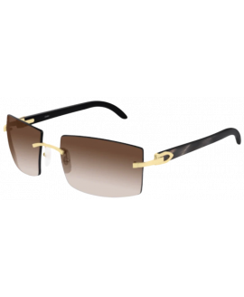 мужские солнцезащитные очки CARTIER  CART CT0021RS 001