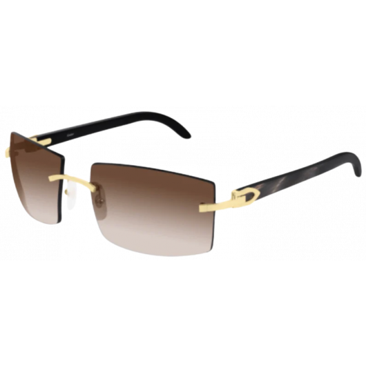 мужские солнцезащитные очки CARTIER  CART CT0021RS 001