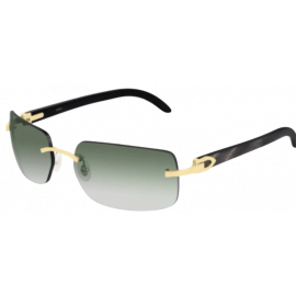 мужские солнцезащитные очки CARTIER  CART CT0022RS 001