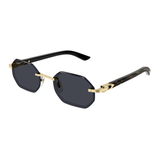 мужские солнцезащитные очки CARTIER CART CT0439S- 001