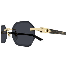 мужские солнцезащитные очки CARTIER CART CT0439S- 001