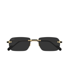 мужские солнцезащитные очки CARTIER CART CT0498S- 001