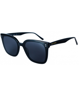 женские солнцезащитные очки FERRE  FRRE 1049 001