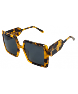 женские солнцезащитные очки FERRE  FRRE 1102 004