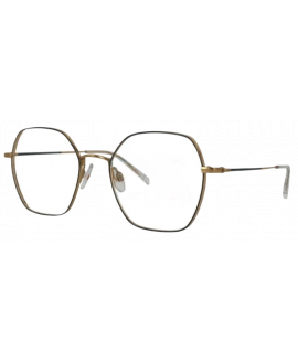 женские очки для зрения ANA HICKMANN  HI 1168T 12A