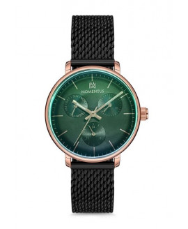 Наручные часы MOMENTUS Momentus CW292R-04SR