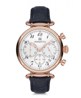 Наручные часы MOMENTUS Momentus TC250R-02MR