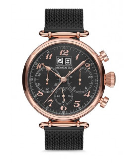 Наручные часы MOMENTUS Momentus TM250R-04SR