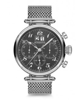 Наручные часы MOMENTUS Momentus TM250S-04SS