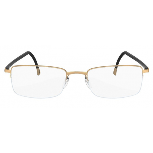 мужские очки для зрения SILHOUETTE  SILH 5428 206071