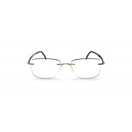 мужские очки для зрения SILHOUETTE  SILH 5558 DC7680