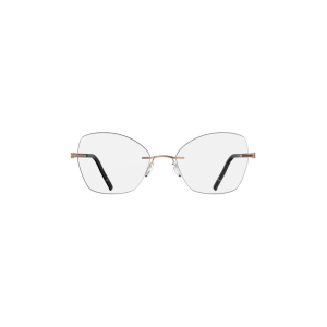 очки для зрения SILH 5564 LN3520