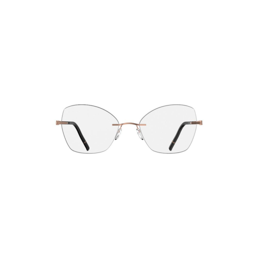 очки для зрения SILH 5564 LN3520