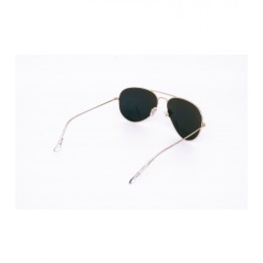 универсальные солнцезащитные очки ARAMIS  ARMS 4001 C2